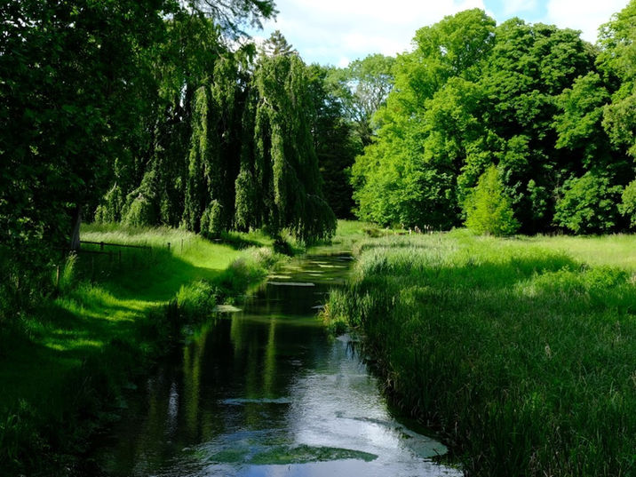 The river Meon