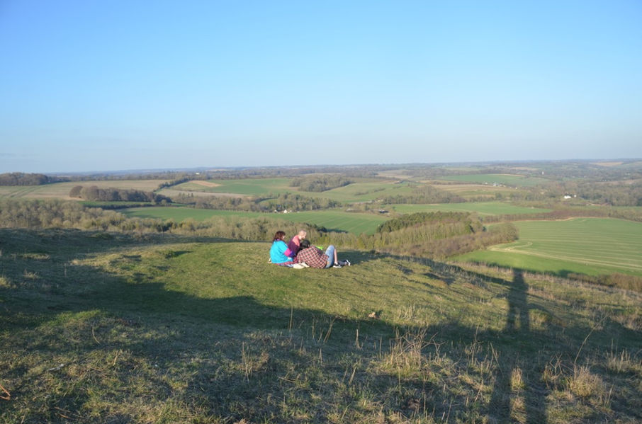 View from Beacon Hill