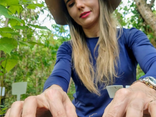 Plantar, um ato de fé