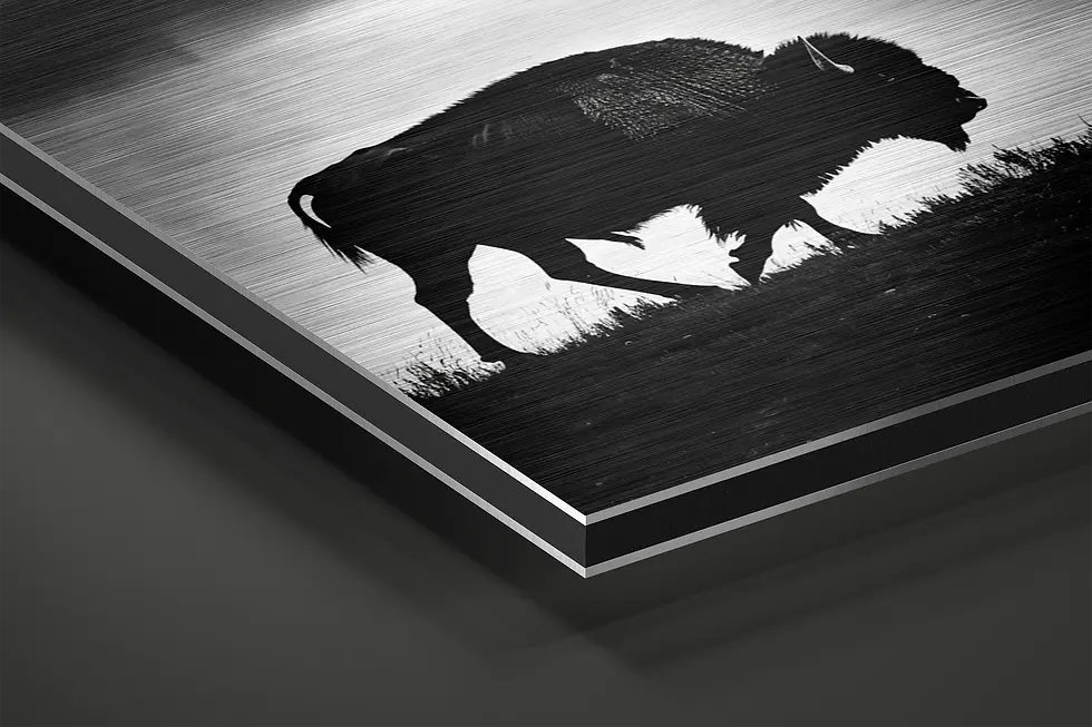 Thumbnail: Close-up of brushed aluminum surface with bison silhouette detail