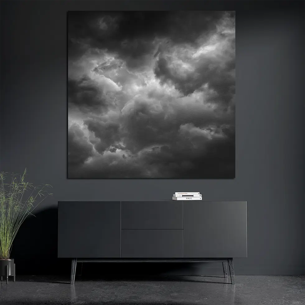 Black and white cloud aluminum print styled with books and plant