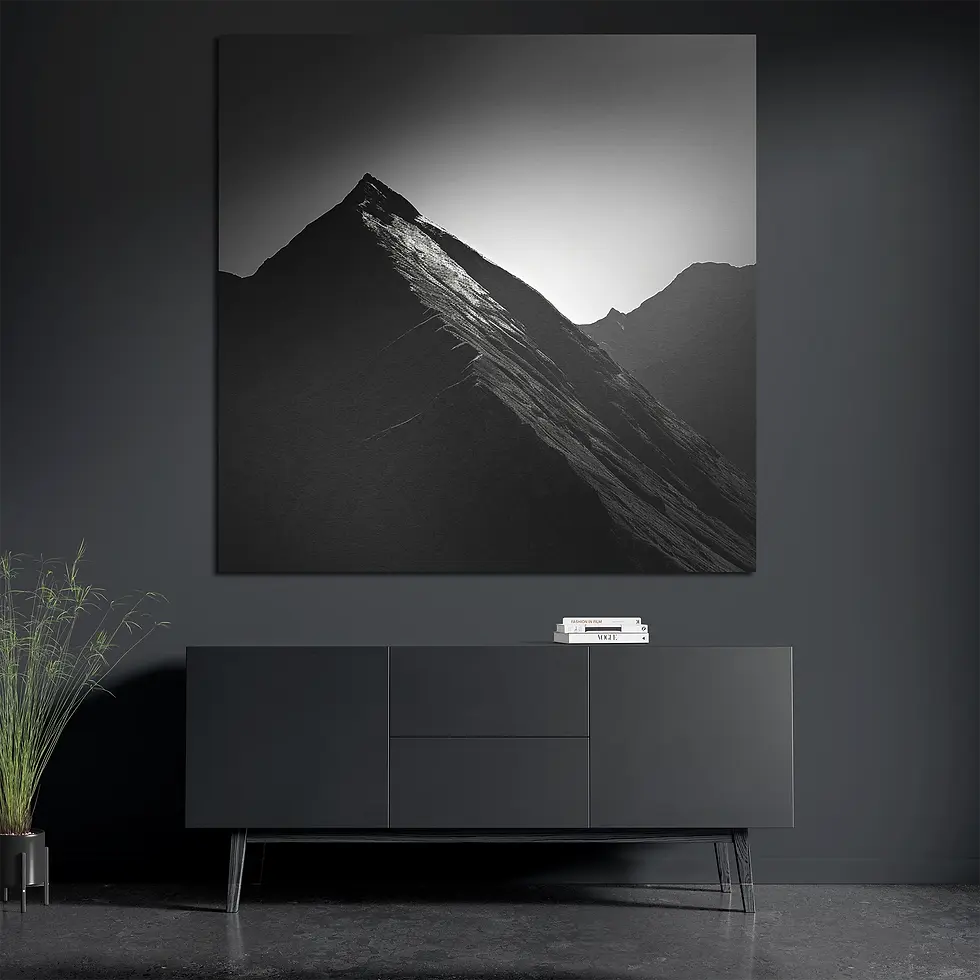 Square black alpine ridge print styled with books and plant