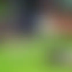 Knaller-Party bei 120. Geburtstag der Admira