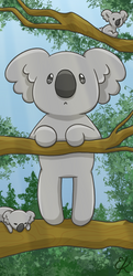 Koalas.png