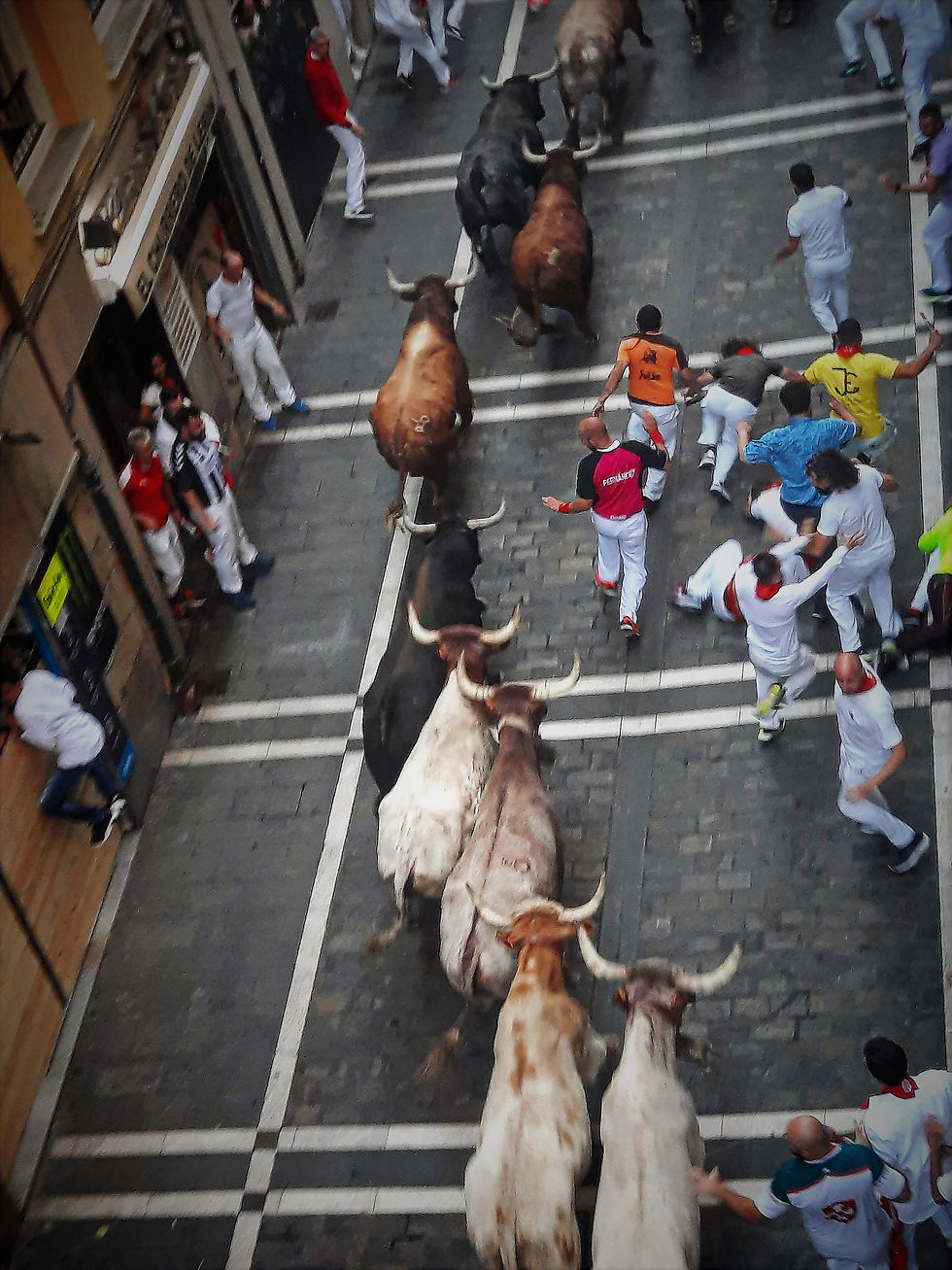 bulls and runners in the streets of Pamplona.
