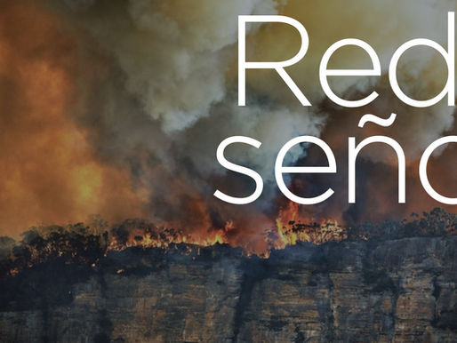 Rebranding visual. Ejemplos extremos