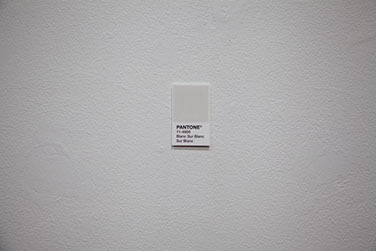 Andrew Salyer
