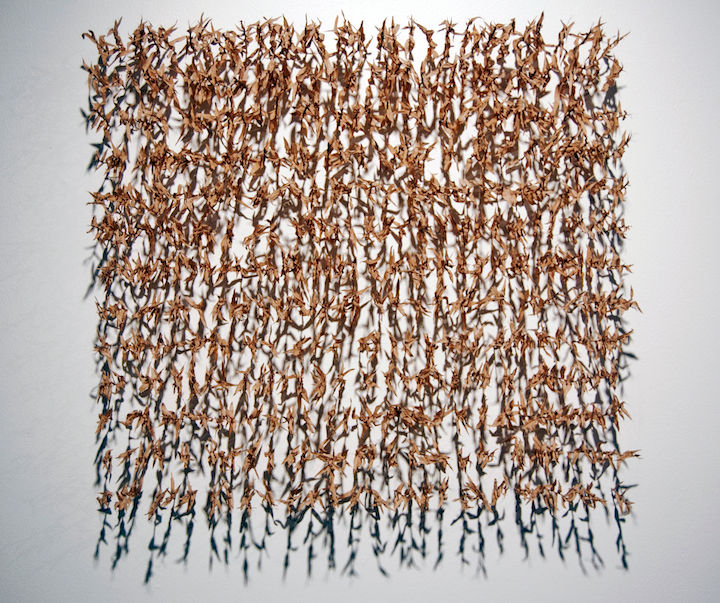 Emily Belknap