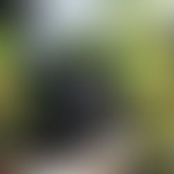 Renewable Energy in the UK in 2024