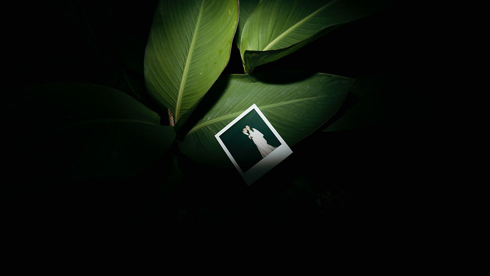 polaroid fotografija mladenaca na zelenoj biljki