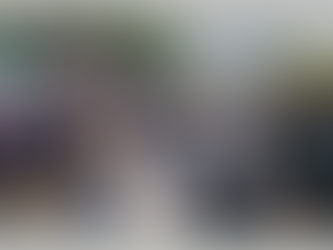 Le parti des Lyonnaises et des Lyonnais