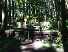 DSC02759.JPG