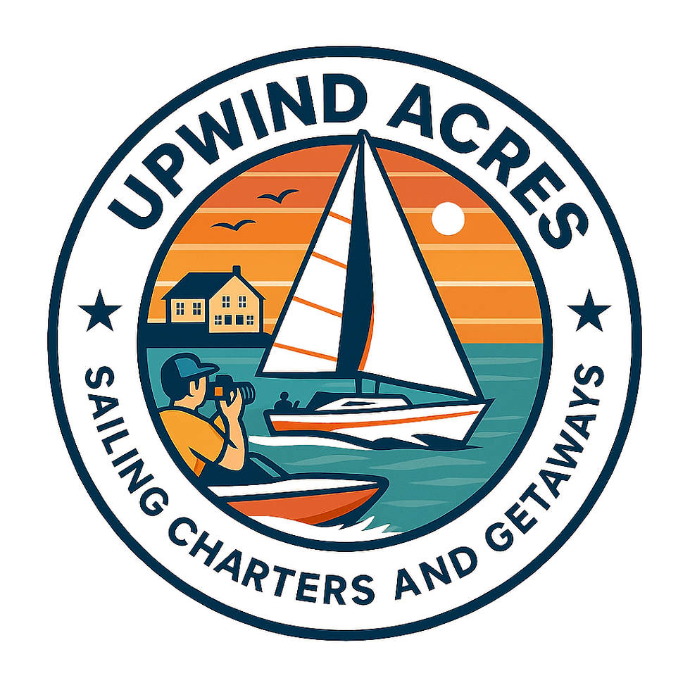 logo 2_edited.png