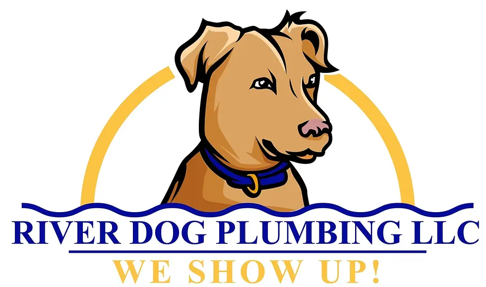 Blue+RDP+LLC+Letters+White+Background+(cropped).webp