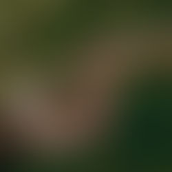 Hoe laat ik hem los?