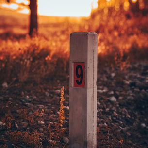 Zullen we 'halverwege-mijlpalen' gaan vieren?