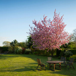 Wat is er mis met de tuin?