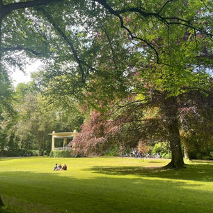 Het gras van het Noorderplantsoen