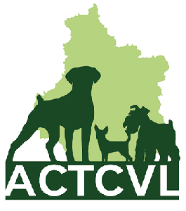 actcvllogo.gif
