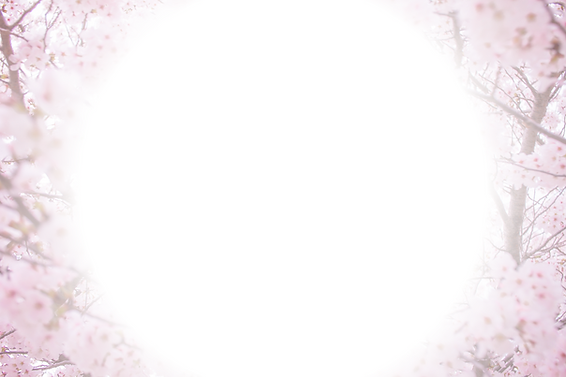 桜グラデーション背景画像
