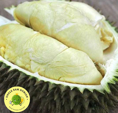 A less common durian with fibrous texture, moderate flavor, and thick green shell.