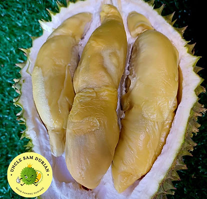 Tekka is a complex, slightly bitter durian with thick flesh and a fibrous texture — earthy and robust in flavor.