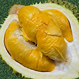 Bright orange flesh, mild sweetness, and minimal bitterness — D13 is great for beginners and sweet durian fans.
