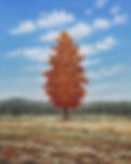 IMG_6030.jpeg