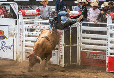Cowboy on Bull 2.jpg