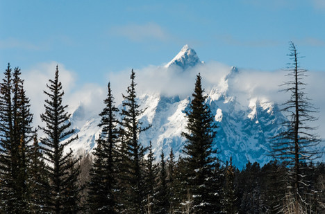 TETON.jpg