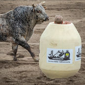 Spotted Bull + Barrel.jpg