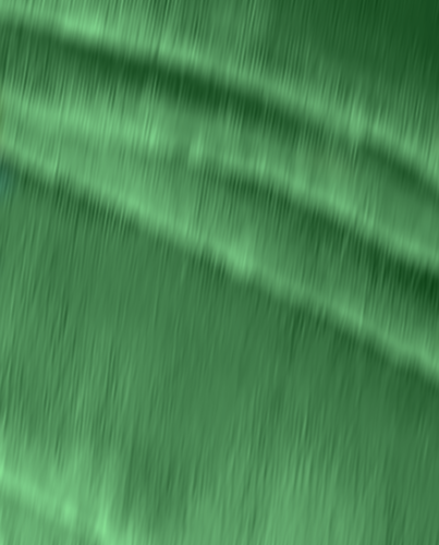 COULEUR DE FOND DU SITE CODE COULEUR    # 2F5F1E   fondfeuille_28,22x35_200pp_08.png