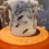 Thumbnail: Everlasting Lighted Wax Decorative Candle Lantern Holder 'Ghost'