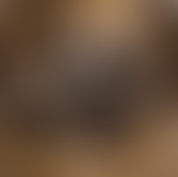 Arthur Loeb Polyhedron model in the RISD collection