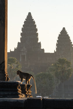 Angkor Wat Sunrise