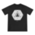 Thumbnail: VECTOR EQUILIBRIUM MEDITATION -  Organic T-Shirt