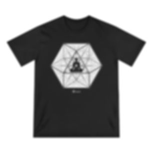 VECTOR EQUILIBRIUM MEDITATION -  Organic T-Shirt