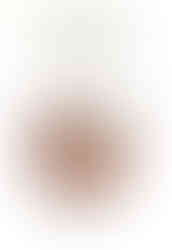 Leonardo Davinci "le divine proportion" (1509)