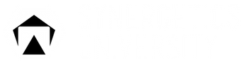 Synergetics University
