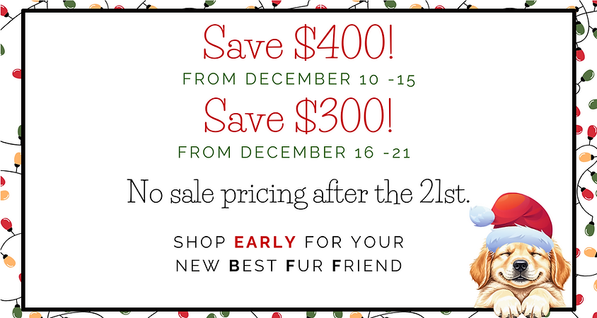 christmas sale poster at the top dog store