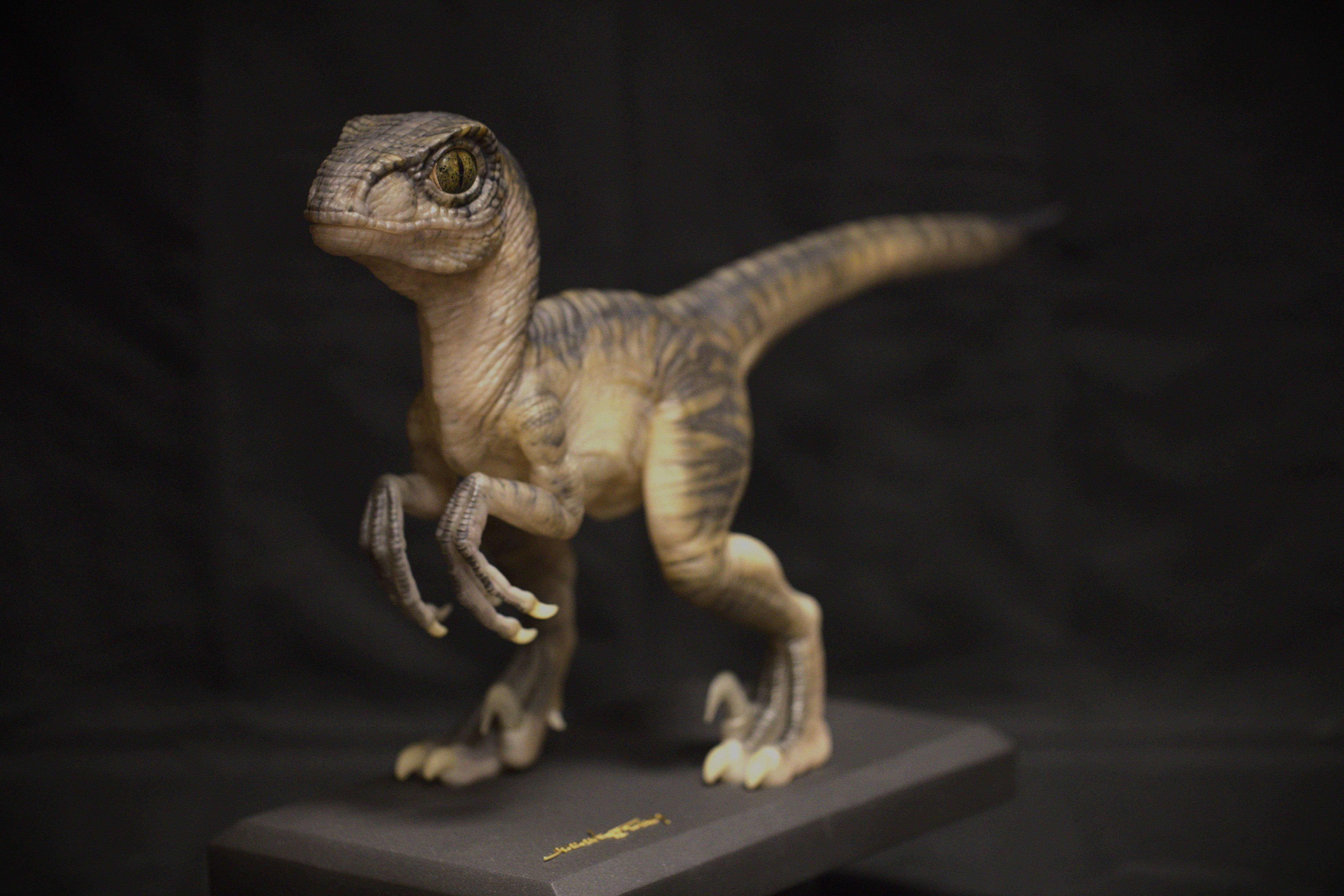 Baby Raptor Gold