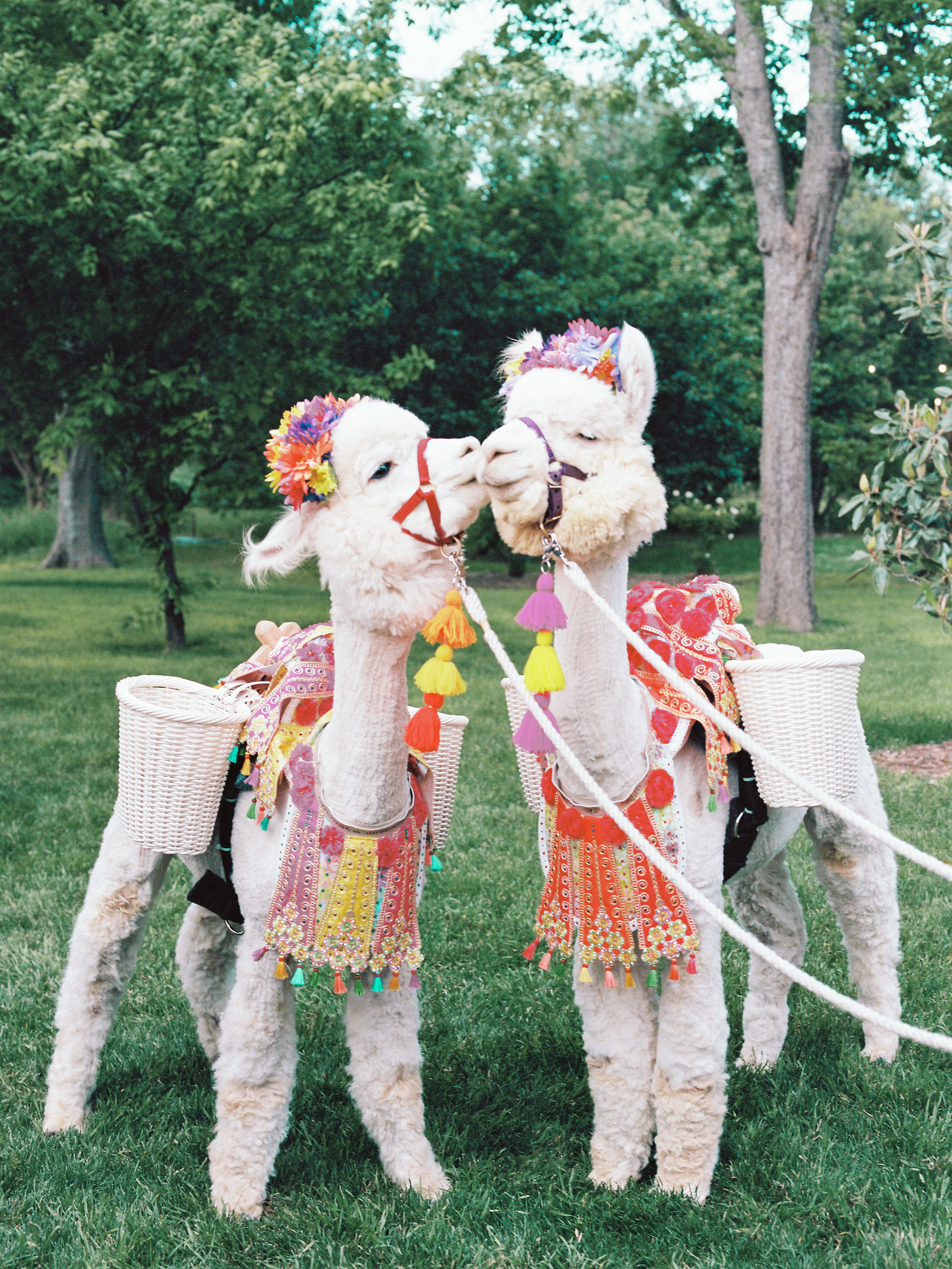 Austin wedding planners - Ashley Nicole Affair / Barr Mansion
