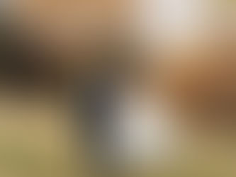 Anna + Kolin; The Preserve at Canyon Lake - Canyon Lake, TX Wedding Planners