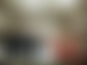 Paige + Chase; Pecan Springs Ranch - Austin, TX Wedding Planners