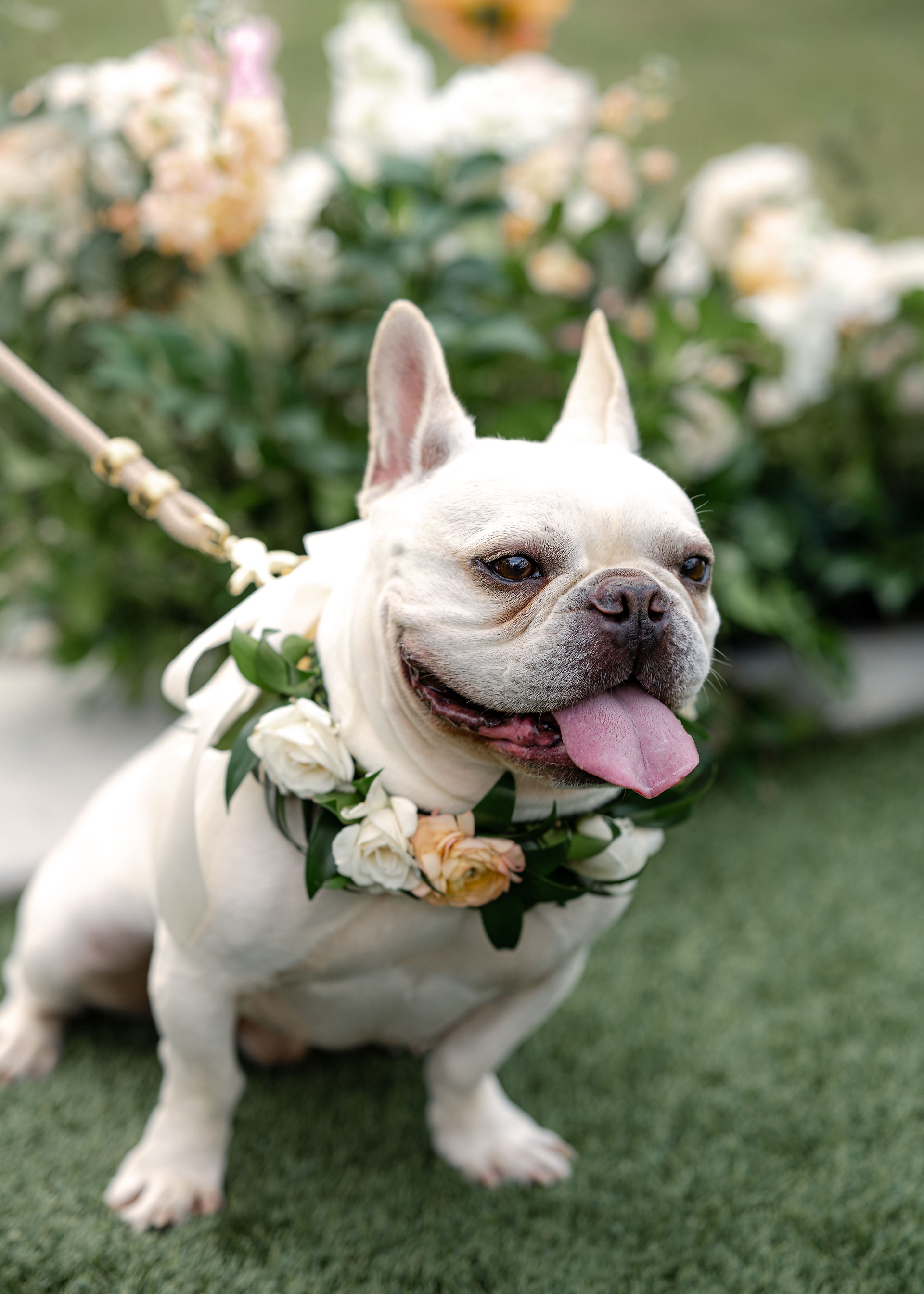 Austin wedding planners - Ashley Nicole Affair / The Arlo 