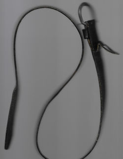 belt, bergen