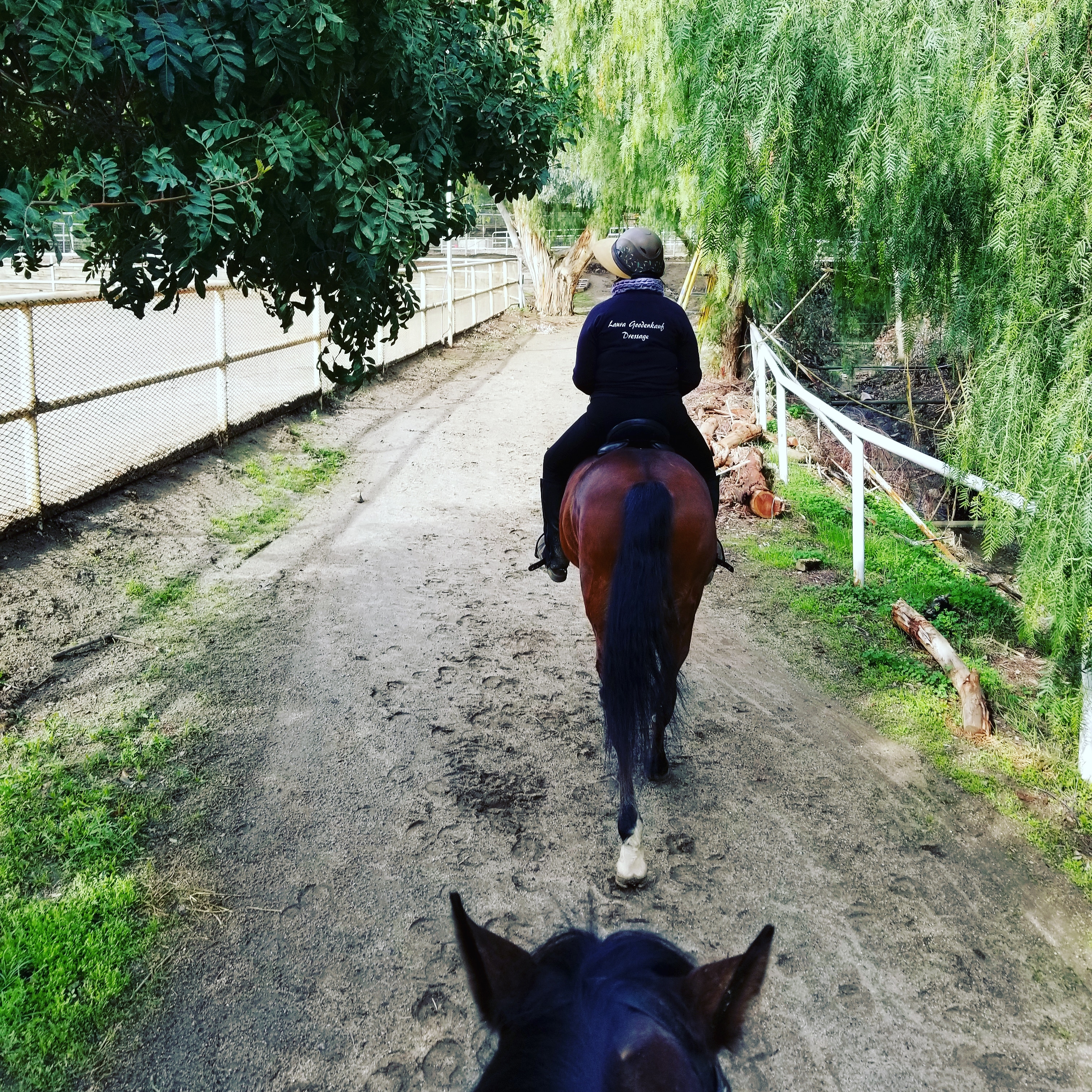 Trail Riding