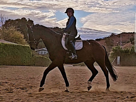 Dressage horse training with clouds and weather
