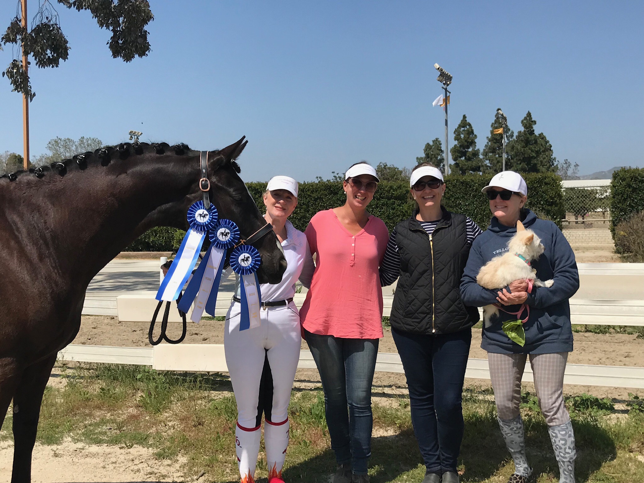 Team LGD at Dressage Affaire LAEC