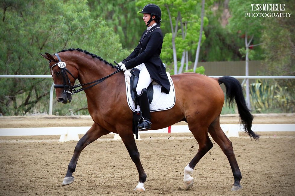FEI dressage horse and trainer in CA